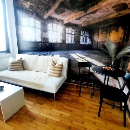 One Bedroom By The Park Old Town Belle Vue Timişoara Extérieur photo