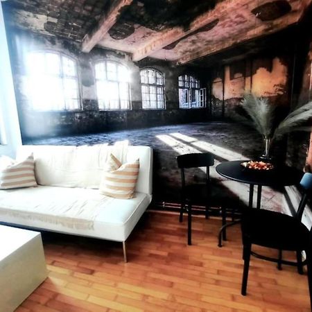 One Bedroom By The Park Old Town Belle Vue Timişoara Extérieur photo